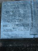 Otto G P OERTEL, father
d: 2 Feb 1965, aged 82
Alvina W OERTEL, wife, mother
d: 12 Jan 1960, aged 73
St Johns Lutheran Church Cemetery, Kalbar, Boonah Shire