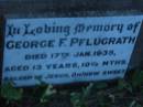 George F PFLUGRATH
17 Jan 1935, aged 13 years 10 12 months
St Johns Lutheran Church Cemetery, Kalbar, Boonah Shire