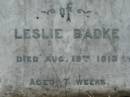 
Leslie BADKE
d: Aug 19 1913, aged 7 weeks
Cecil
1 May 1916, aged 9 weeks
St Johns Lutheran Church Cemetery, Kalbar, Boonah Shire

