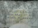 Leslie BADKE
d: Aug 19 1913, aged 7 weeks
Cecil
1 May 1916, aged 9 weeks
St Johns Lutheran Church Cemetery, Kalbar, Boonah Shire