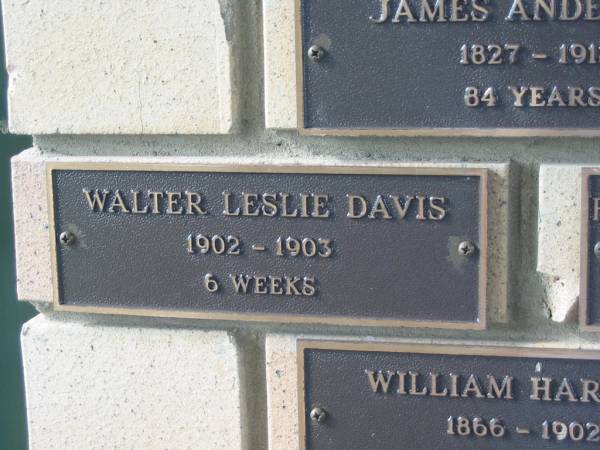 Walter Leslie DAVIS,  | 1902 - 1903 aged 6 weeks;  | Engelsburg Methodist Pioneer Cemetery, Kalbar, Boonah Shire  | 