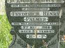 
Frederick Henry PALMER,
father father-in-law grandfather,
accidentally killed 9 May 1968 aged 55 years;
Pearl Margaret PALMER,
mother mother-in-law grandmother,
died 30 Nov 1969 aged 49 years;
Kilkivan cemetery, Kilkivan Shire
