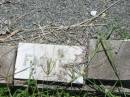 
Charles E. LAKE,
father,
1831 - 1895;
Mary Ann LAKE,
mother,
1844 - 1909;
Kilkivan cemetery, Kilkivan Shire
