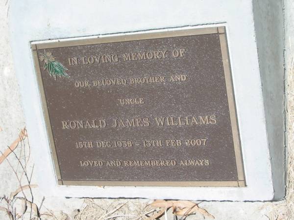 Ronald James WILLIAMS,  | brother uncle,  | 15 Dec 1938 - 13 Feb 2007;  | Kilkivan cemetery, Kilkivan Shire  | 