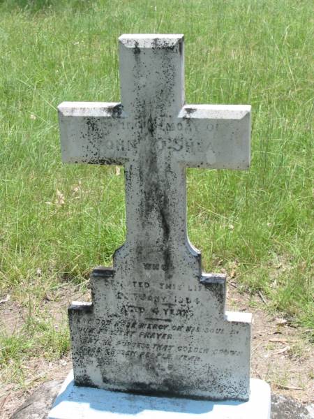 John O'SHEA,  | died 20 Jan 1904 aged 4 years;  | Kilkivan cemetery, Kilkivan Shire  | 