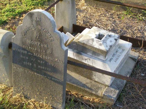 Morton,  | son of Wynford & Alice HORNEMAN,  | died 1 May 1912 aged 8 months;  | Killarney cemetery, Warwick Shire  | 