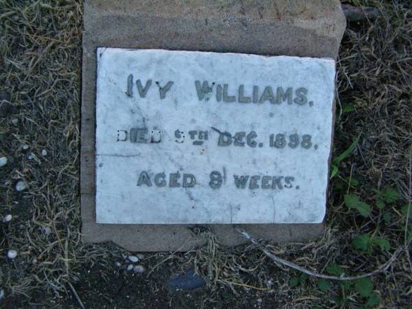 Ivy WILLIAMS,  | died 5 Dec 1898 aged 9 weeks;  | Killarney cemetery, Warwick Shire  |