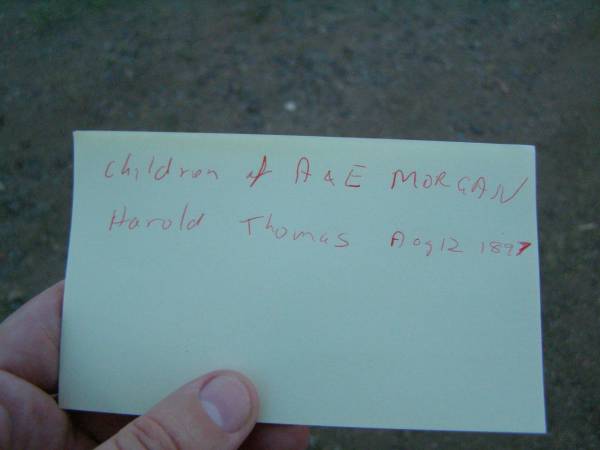 Lily,  | wife of Alexander E. JONES,  | died 6 Feb 1922 aged 33 years,  | erected by husband & children;  | [face down stone]  | children of E. & A. MORGAN,  | Harold Thomas,  | born 12 Aug 1892,  | died 23 Jan 1893;  | Jessie Beatrice,  | born 2? Aug 1879,  | died 6 June 1898;  | Florence Emily,  | born 30 July ????,  | died 7 June 1898;  | Killarney cemetery, Warwick Shire  | 