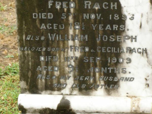Christina,  | wife of Fred RACH,  | died 5 Nov 1894 aged 18 1/2 years;  | William Joseph,  | son of Fred & Cecilia RACH,  | died 11 Sept 1909 aged 9 1/2 months;  | Frederick Rudolph RACH,  | husband father,  | died 12 May 1935 aged 68 years;  | Annie Cecilia RACH,  | mother,  | died 10 Jan 1954 aged 75 years;  | Killarney cemetery, Warwick Shire  | 