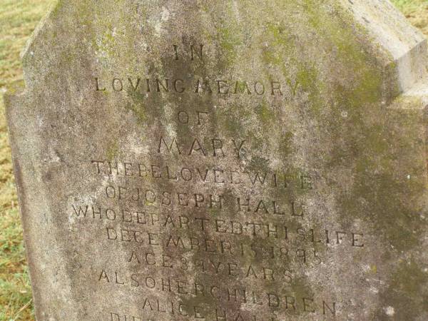 Mary,  | wife of Joseph HALL,  | died 15 Dec 1895 aged 39 years;  | children;  | Alice HALL,  | died 10 June 1887 aged 4 months;  | James HALL,  | died 19 Oct 1890 aged 8 years;  | Lizzy Harriot HALL,  | died 23 Oct 1895 aged 8 months;  | Killarney cemetery, Warwick Shire  | 