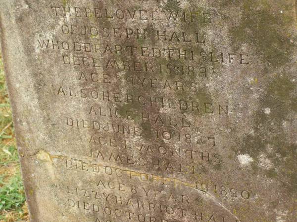 Mary,  | wife of Joseph HALL,  | died 15 Dec 1895 aged 39 years;  | children;  | Alice HALL,  | died 10 June 1887 aged 4 months;  | James HALL,  | died 19 Oct 1890 aged 8 years;  | Lizzy Harriot HALL,  | died 23 Oct 1895 aged 8 months;  | Killarney cemetery, Warwick Shire  | 