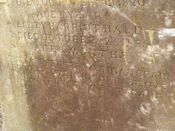 Mary,  | wife of Joseph HALL,  | died 15 Dec 1895 aged 39 years;  | children;  | Alice HALL,  | died 10 June 1887 aged 4 months;  | James HALL,  | died 19 Oct 1890 aged 8 years;  | Lizzy Harriot HALL,  | died 23 Oct 1895 aged 8 months;  | Killarney cemetery, Warwick Shire  | 