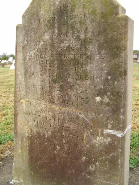 Mary,  | wife of Joseph HALL,  | died 15 Dec 1895 aged 39 years;  | children;  | Alice HALL,  | died 10 June 1887 aged 4 months;  | James HALL,  | died 19 Oct 1890 aged 8 years;  | Lizzy Harriot HALL,  | died 23 Oct 1895 aged 8 months;  | Killarney cemetery, Warwick Shire  | 
