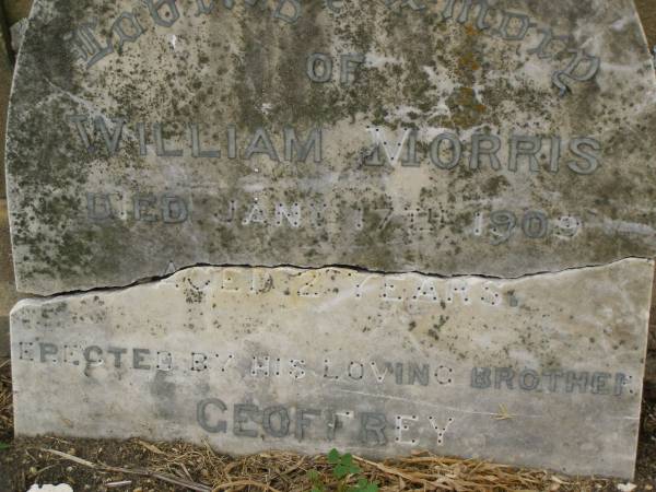 William MORRIS,  | died 17 Jan 1909 aged 2 years,  | erected by brother Geoffrey;  | Killarney cemetery, Warwick Shire  | 