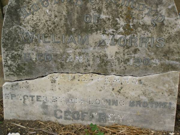 William MORRIS,  | died 17 Jan 1909 aged 2 years,  | erected by brother Geoffrey;  | Killarney cemetery, Warwick Shire  | 