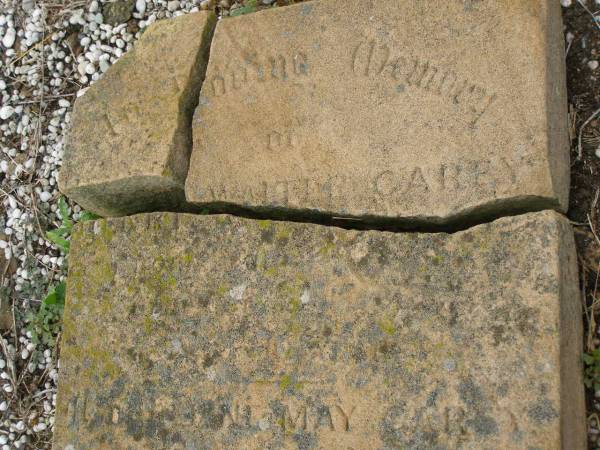 John CAREY junr,  | born 26 March 1866,  | died 25 Aug 1901 aged 35 years;  | Paul CAREY,  | aged 8 months;  | Walter CAREY,  | aged 79? years;  | Jane May CAREY,  | died 20 Jan? 1894 aged 74? years;  | Killarney cemetery, Warwick Shire  | 