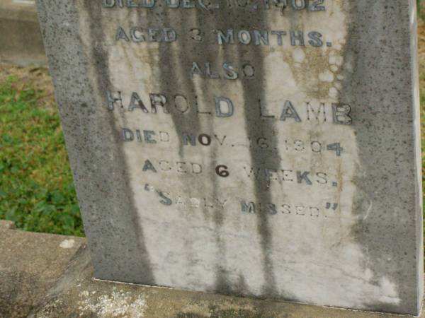 Edna May LAMB,  | died 10 Dec 1902 aged 3 months;  | Harold LAMB,  | died 16 Nov 1904 aged 6 weeks;  | William LAMB,  | father,  | died 20 Nov 1953 aged 93 years;  | Mary Ann LAMB,  | wife mother,  | died 12 April 1950 aged 89 years;  | Killarney cemetery, Warwick Shire  | 