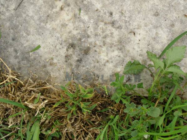 Killarney cemetery, Warwick Shire  | 