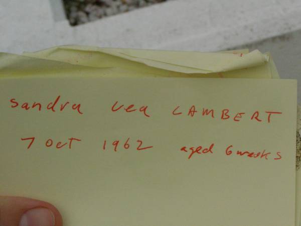 Sandra Lea LAMBERT,  | died  7 Oct 1962 aged 6 weeks,  | loved by mum dad & family;  | Killarney cemetery, Warwick Shire  | 