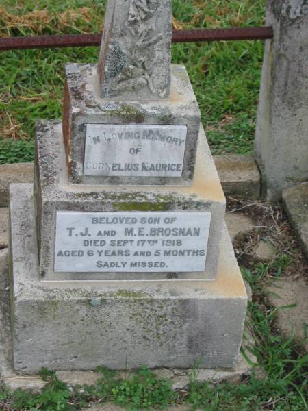 Cornelius Maurice,  | son of T.J. & M.E. BROSNAN,  | died 17 Sept 1918 aged 6 years 5 months;  | Killarney cemetery, Warwick Shire  | 