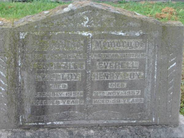 Annie Jane LOY,  | mother,  | died 9 Sept 1934 aged 55 years,  | erected by sons & daughters;  | Leslie Alec ??? LOY,  | husband,  | died 2 July 1959 aged 48 years;  | Everell Henry LOY,  | brother,  | died 9 Nov 1957 aged 59 years;  | Killarney cemetery, Warwick Shire  | 