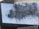 
James Henry ALDIS,
died 19 July 1941 aged 78 years;
Killarney cemetery, Warwick Shire
