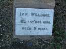 
Ivy WILLIAMS,
died 5 Dec 1898 aged 9 weeks;
Killarney cemetery, Warwick Shire
