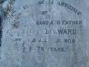 
William MILWARD,
husband father,
died 27 July 1908 aged 78 years;
Killarney cemetery, Warwick Shire
