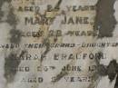 
Thomas William BRADFORD,
aged 87 years;
Sarah Maria BRADFORD,
wife,
aged 75 years;
Harriet Susan BRADFORD,
daughter,
aged 25 years;
Mary Jane,
daughter,
aged 22 years;
Sarah BRADFORD,
grand-daughter,
died 20 June 1920 aged 5 years;
Killarney cemetery, Warwick Shire
