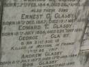 
Annie GLASBY,
mother,
born 22 June 1848,
died 1 Jan 1908;
George E. GLASBY,
father,
born 27 Feb 1844,
died 26 April 1926;
Ernest C. GLASBY,
son,
born 18 Dec 1887,
died 19 May 1891;
Edward T. GLASBY,
son,
born 18 July 1886,
died 23 May 1891;
George E. GLASBY,
son,
born 21 Aug 1874,
killed in action France 12 Oct 1917;
Andrew GLASBY,
son,
born 8 July 1877,
died 17 Jan 1924;
Bob GLASBY,
son,
born 2 July 1870,
died 11 Oct 1897;
Killarney cemetery, Warwick Shire
