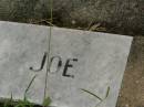Albert Hedley Joseph (Joe) EVANS, son brother, died 24 Jan 1945 aged 27 years; Killarney cemetery, Warwick Shire 