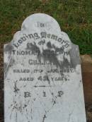 Thomas Joseph GILLICK, killed 17 Jan 1927 aged 42 years; Killarney cemetery, Warwick Shire 