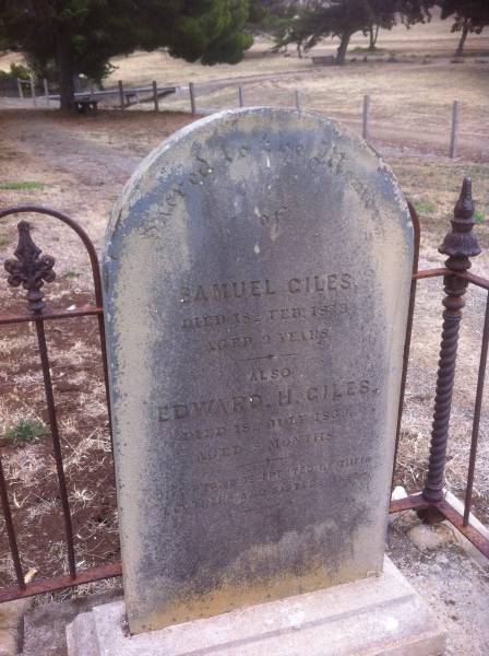 Samuel GILES  | d: 18 Feb 1839 aged 2  |   | Edward H GILES  | d: 18 Jun 1839 aged 8 mo  |   | (erected by brothers and sisters 1889  |   | Kingscote historic cemetery - Reeves Point, Kangaroo Island, South Australia  |   | 