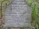 
Patrick MOLONEY, husband,
died 26 March 1912 aged 64 years;
Daniel MOLONEY,
died 6 Sept 1913 aged 22 years;
Bridget MOLONEY, wife of Patrick MOLONEY,
died 20 March 1926 aged 68 years;
Norman MOLONEY,
died 19 May 1901 aged 1 year;
Kingston Pioneer Cemetery, Logan City
