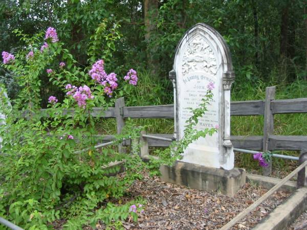 John, husband of Emily MAYES,  | died 10 June 1908 aged 65 years;  | Emily MAYES, wife mother,  | died 13 July 1933 aged 86 years;  | Kingston Pioneer Cemetery, Logan City  | 