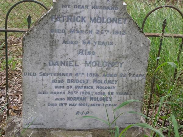 Patrick MOLONEY, husband,  | died 26 March 1912 aged 64 years;  | Daniel MOLONEY,  | died 6 Sept 1913 aged 22 years;  | Bridget MOLONEY, wife of Patrick MOLONEY,  | died 20 March 1926 aged 68 years;  | Norman MOLONEY,  | died 19 May 1901 aged 1 year;  | Kingston Pioneer Cemetery, Logan City  | 