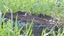 DSCN5339.JPG