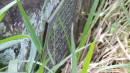 DSCN5347.JPG