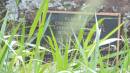 DSCN5349.JPG