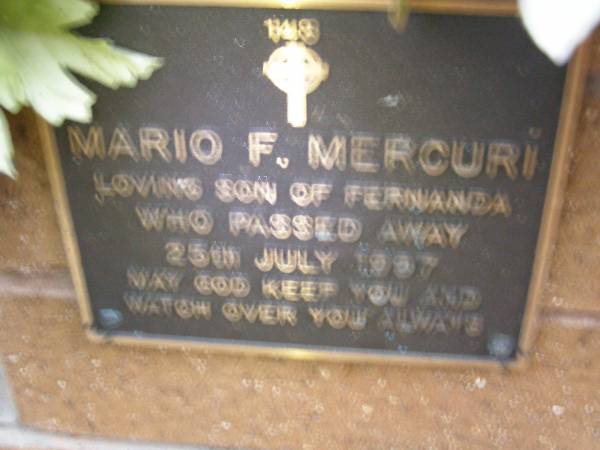 Mario F. MERCURI,  | son of Fernanda,  | died 25 July 1997;  | Lawnton cemetery, Pine Rivers Shire  | 