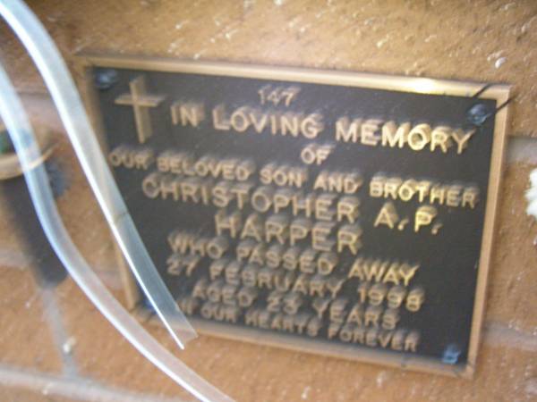 Christopher A.P. HARPER,  | son brother,  | died 27 Feb 1998 aged 23 years;  | Lawnton cemetery, Pine Rivers Shire  | 