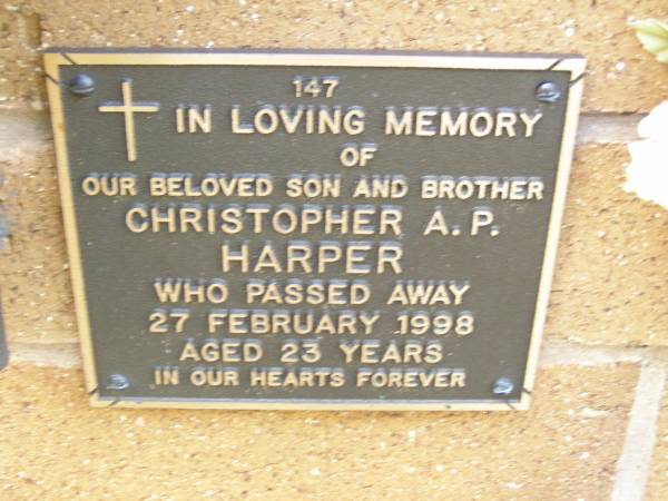 Christopher A.P. HARPER,  | son brother,  | died 27 Feb 1998 aged 23 years;  | Lawnton cemetery, Pine Rivers Shire  | 