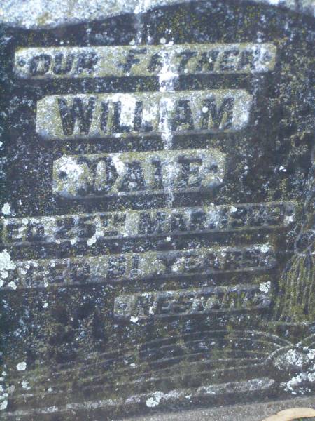 William DALE,  | father,  | died 24 Mar 1909 aged 61 years;  | Donald Mackintosh DALE,  | brother,  | died 20 Jan 1960 aged 77 years;  | Lawnton cemetery, Pine Rivers Shire  | 