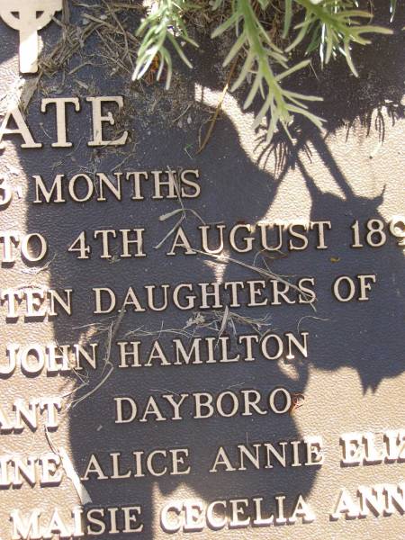 Kate,  | eldest of 10 daughters of Alice & John HAMILTON  | of My Pleasant Dayboro,  | 9 Mar 1891 - 4 Aug 1892 aged 16 months,  | sister to Catherine, Alice, Annie, Eliza,  | Mary, Margaret, Maisie, Cecilia, & Annie;  | Lawnton cemetery, Pine Rivers Shire  | 