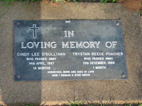 Cindy Lee O'SULLIVAN,  | died 14 April 1987 aged 14 months;  | Trystan Reece POACHER,  | died 13 Dec 1994 aged 1 month;  | Lawnton cemetery, Pine Rivers Shire  | 