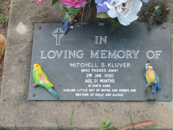 Mitchell S. KLUVER,  | died 2 Jan 1990 aged 21 months,  | son of Wayne & Debbie,  | brother of Holly and Allyce;  | Lawnton cemetery, Pine Rivers Shire  | 