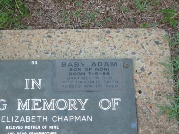 Alice Elizabeth CHAPMAN,  | died 6 June 1982 aged 67 years,  | mother of nine (Peter, Paul, Claire, Noni,  | Daniel, Patricia, David, Mary Anne),  | grandmother;  | Adam,  | baby son of Noni,  | born 7-5-90;  | Lawnton cemetery, Pine Rivers Shire  | 