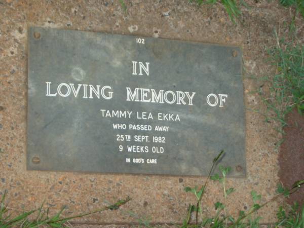 Tammy Lea EKKA,  | died 25 Sept 1982 aged 9 weeks;  | Lawnton cemetery, Pine Rivers Shire  | 