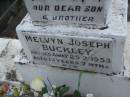 Melvyn Joseph BUCKLEY, son brother, died 25-2-1953 aged 13 years 7 months; Lawnton cemetery, Pine Rivers Shire 