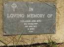 
Colleen Ann BIRD,
died 19 APril 1972 aged 10 weeks;
Lawnton cemetery, Pine Rivers Shire
